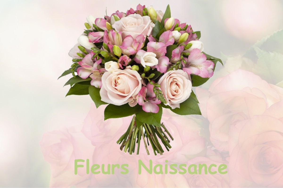 fleurs naissance SAINT-SULPICE-DE-FAVIERES